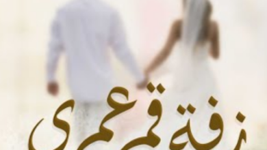 زفة قمر عمري عيضة المنهالي كلمات