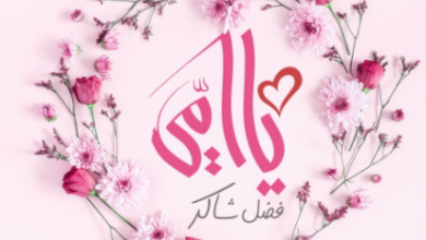 يا أمي فضل شاكر