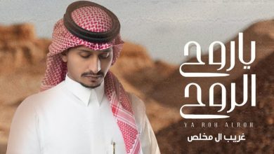 كلمات شيلة ياروح الروح