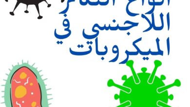أنواع التكاثر اللاجنسي في الميكروبات