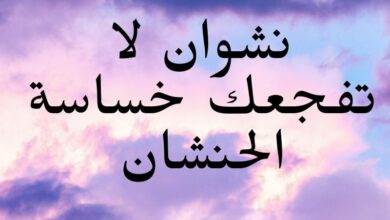 نشوان لا تفجعك خساسة الحنشان كلمات