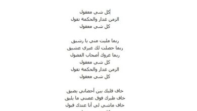 ربما مليت مني يارشيق كلمات