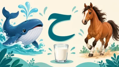 حرف الحاء مع حوت وحصان وكأس حليب